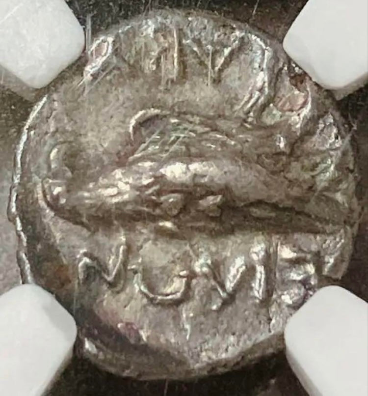 紀元前4世紀 トロアス・アビドス銀貨【アポロ神／鷲｜NGC XF｜Strike:3/5 Surface:4/5｜3.57g】