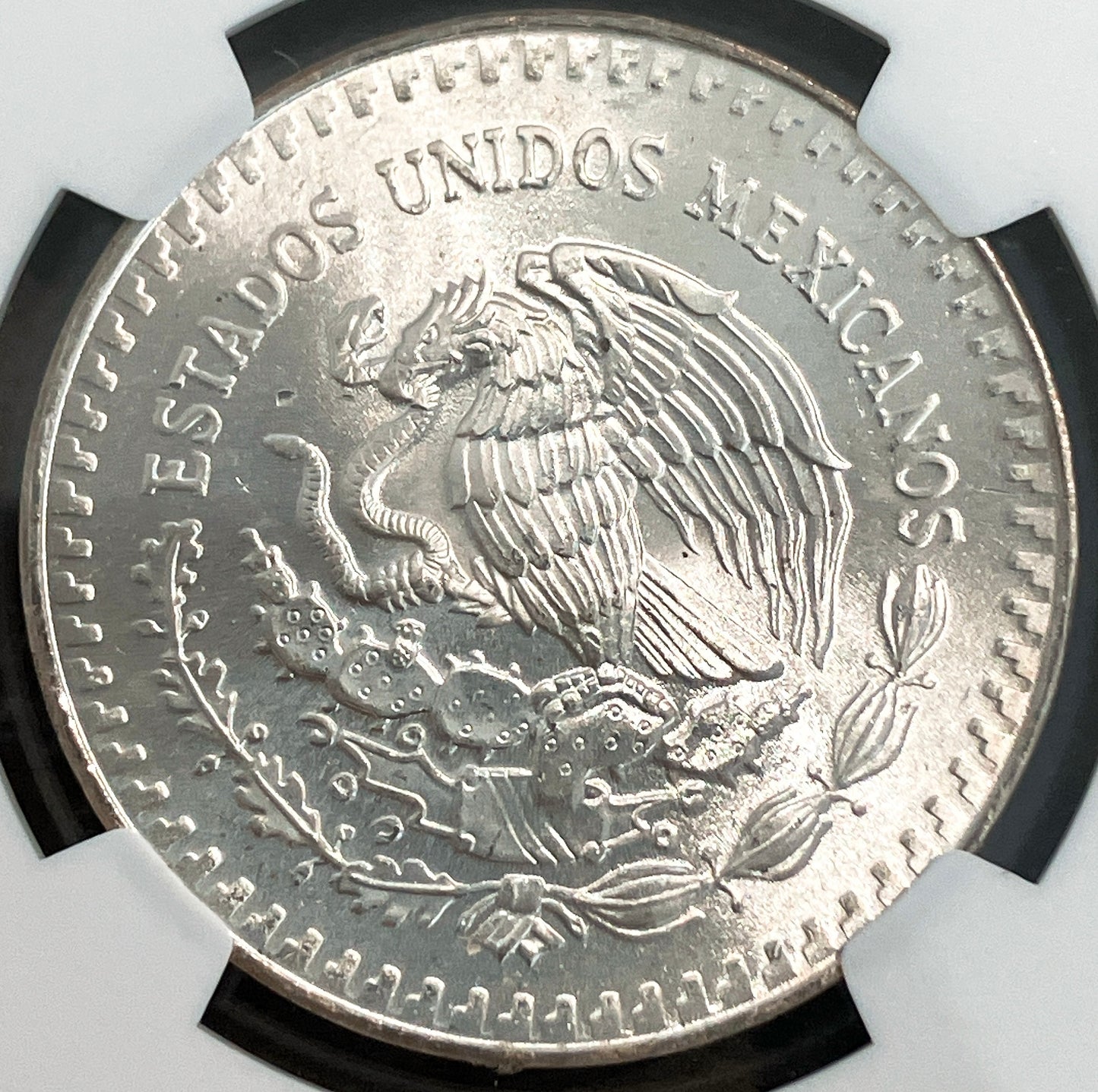 1985年 メキシコ 1オンス銀貨【リベルタッド｜NGC MS65｜自由の女神×活火山】
